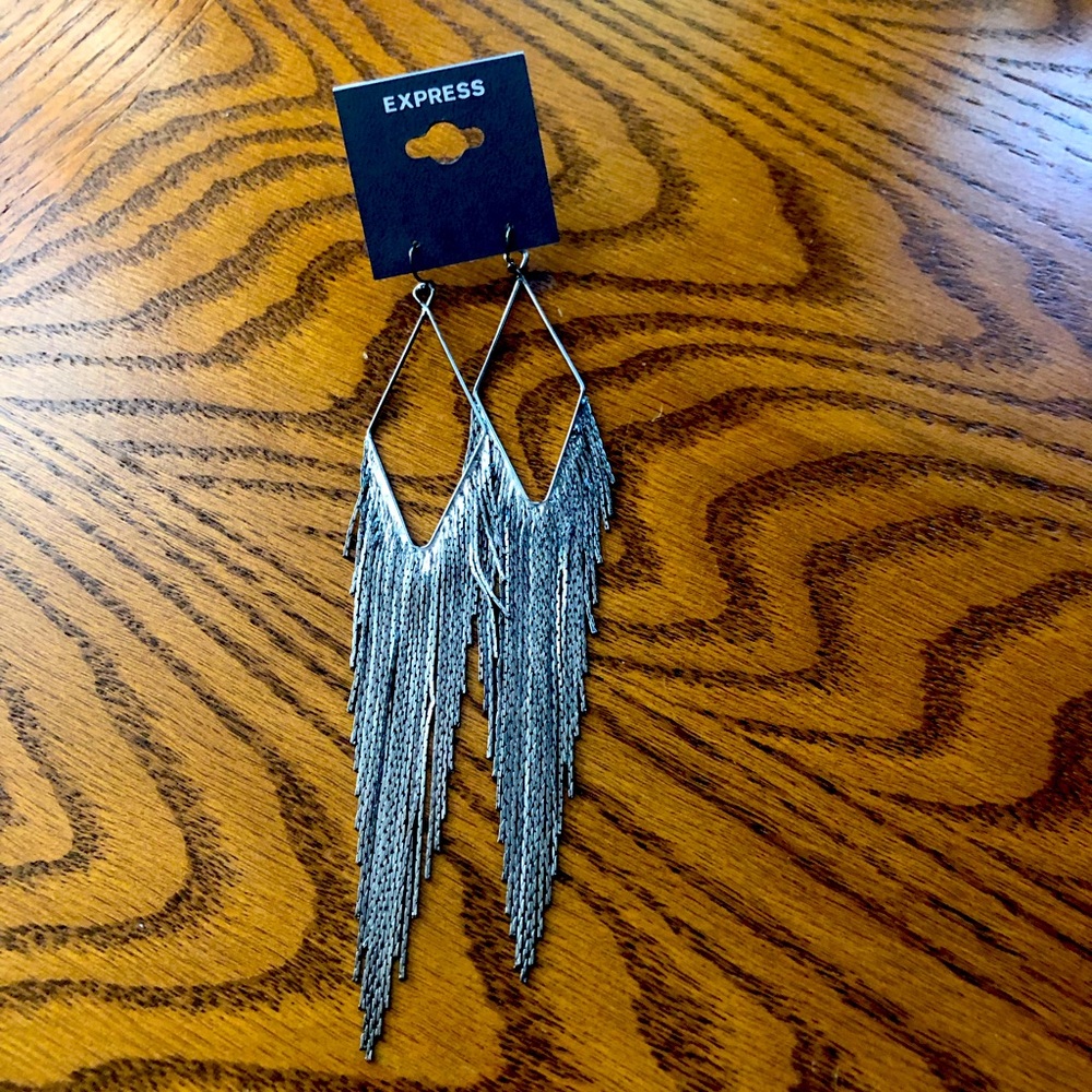 NWT Express Shimmer Dangle Earrings 🪶
